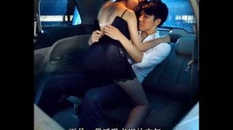 激情伴侣,探寻爱情中的火花与默契